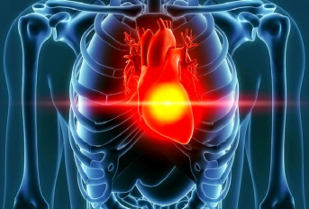 Linee guida per la diagnosi e la terapia dello scompenso cardiaco cronico negli adulti