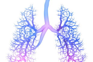 Linee guida per la diagnosi e la terapia della broncopneumopatia cronica ostruttiva negli adulti